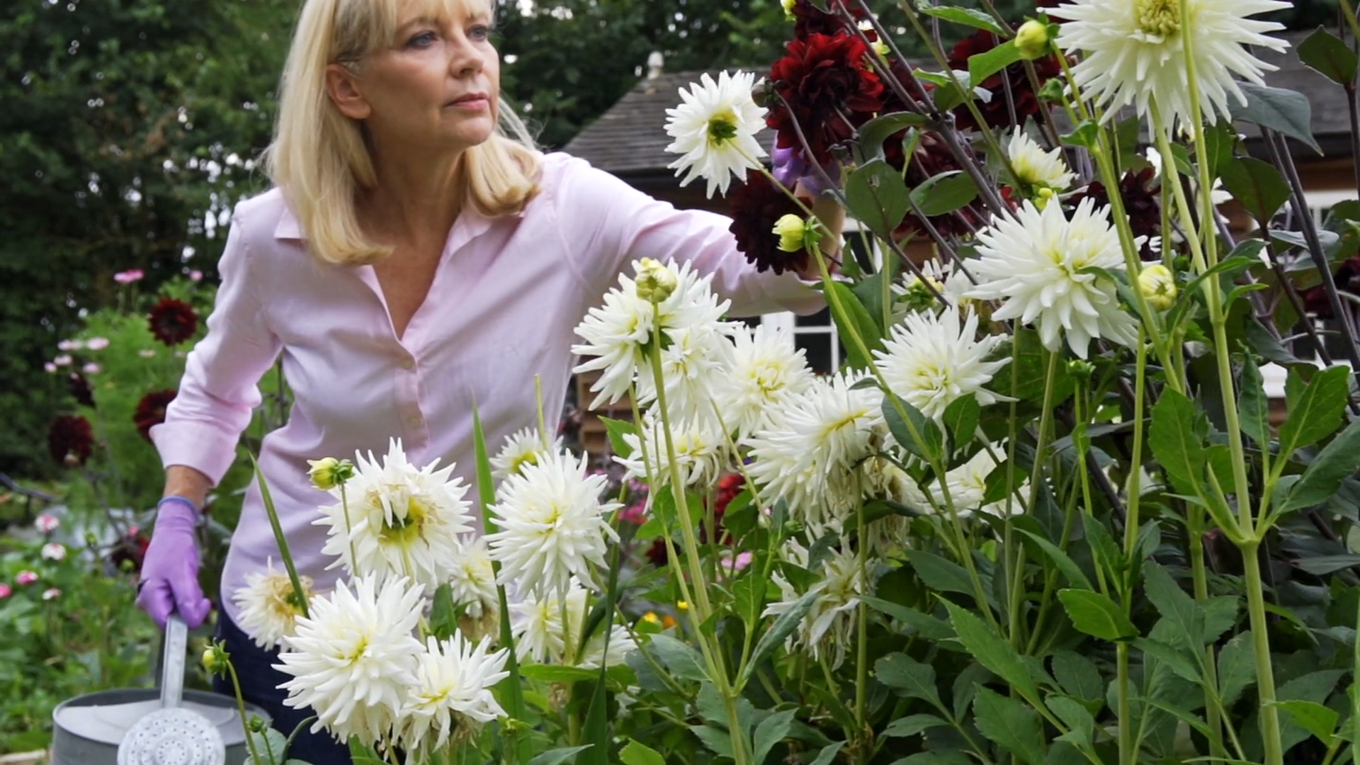 Bespoke Blooms, Sustainably Delivered